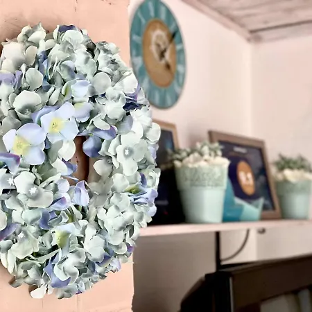 Napraforgo Vendeghaz Gárdony