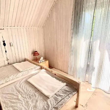 Napraforgo Vendeghaz Gárdony