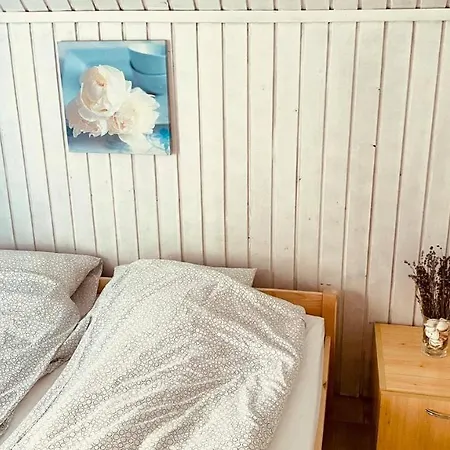 Napraforgo Vendeghaz *