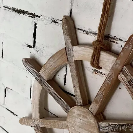 Napraforgo Vendeghaz *