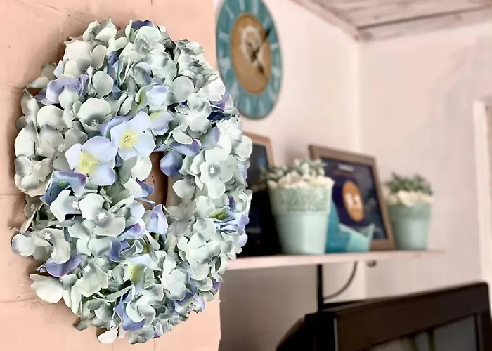 Napraforgo Vendeghaz Gárdony