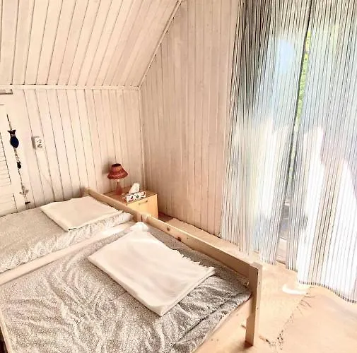 Napraforgo Vendeghaz Gárdony