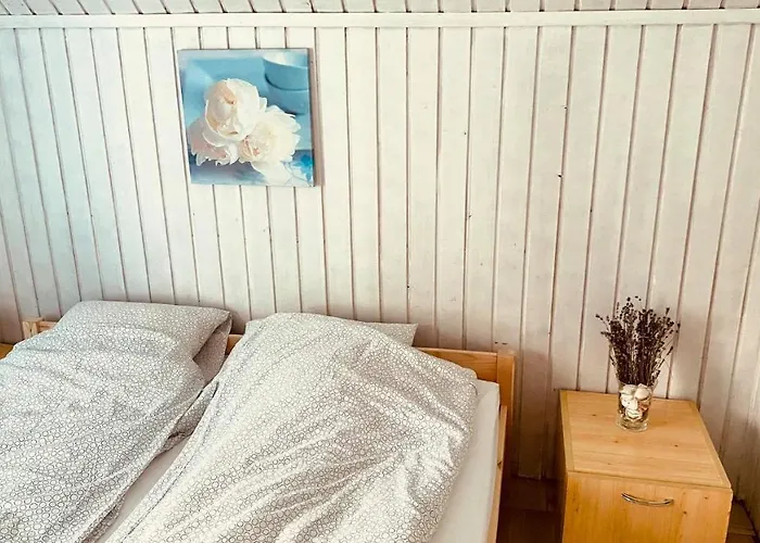 Napraforgo Vendeghaz *