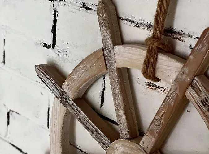 Napraforgo Vendeghaz *